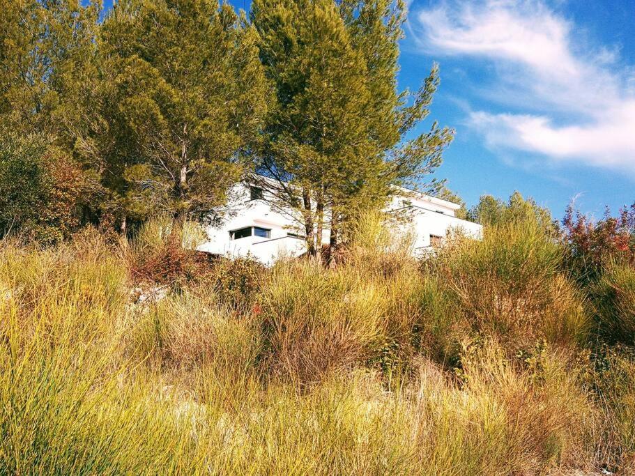 Villa Contemporaine F5 Cote Azur Ollioules Calme Exteriör bild